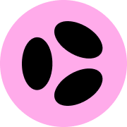 Buenbit logo