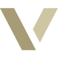 VNX logo